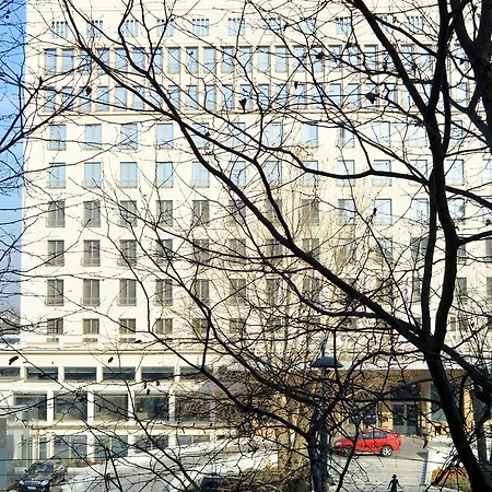 Olive Tree 베오그라드